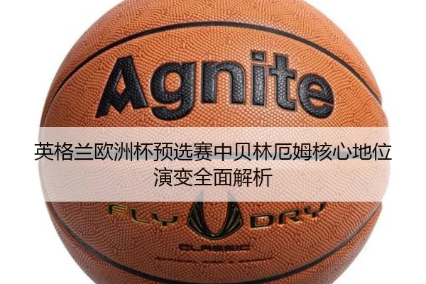 img_1780940545262_97_1_232.jpg